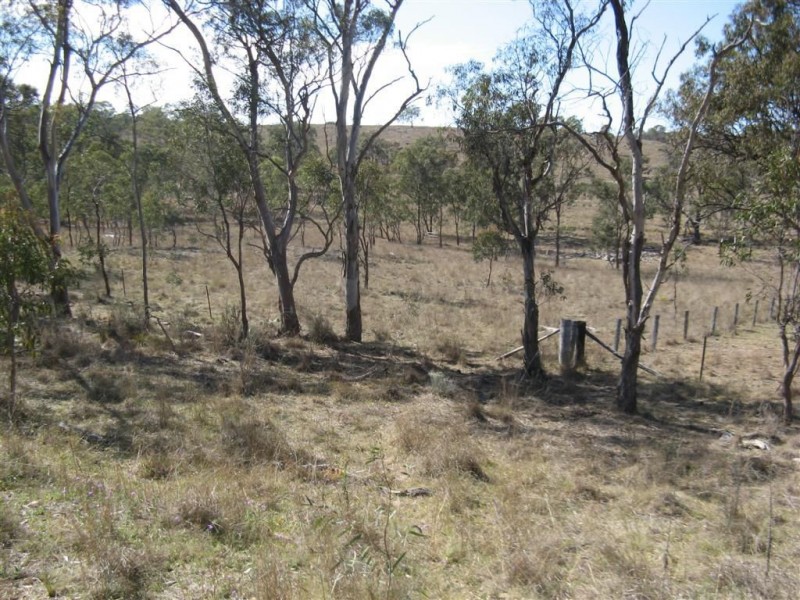 Thane QLD 4370