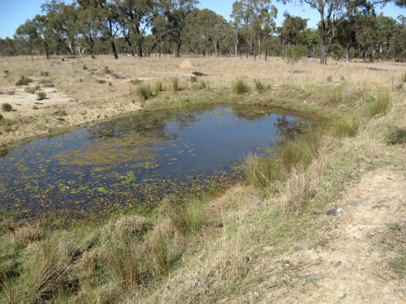 Thane QLD 4370