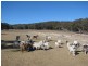 Stanthorpe QLD 4380
