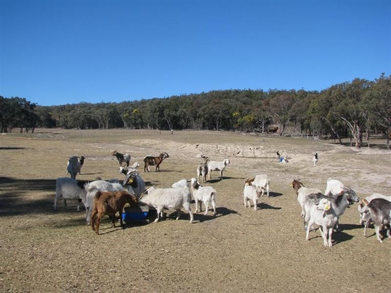 Stanthorpe QLD 4380