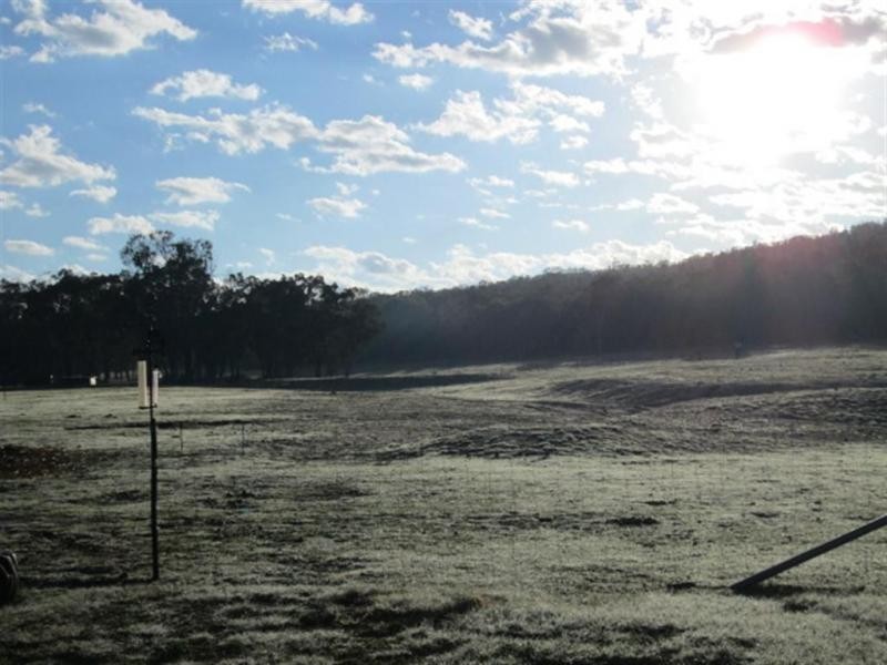 Stanthorpe QLD 4380
