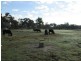Stanthorpe QLD 4380