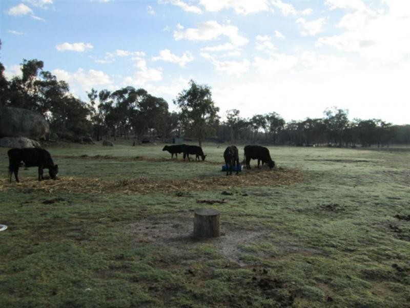 Stanthorpe QLD 4380