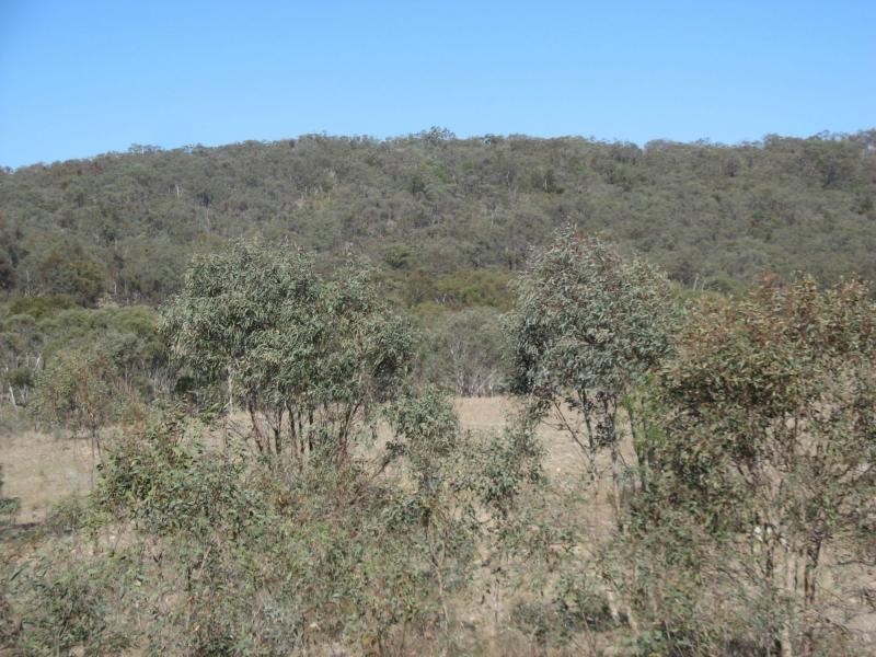 Warwick QLD 4370