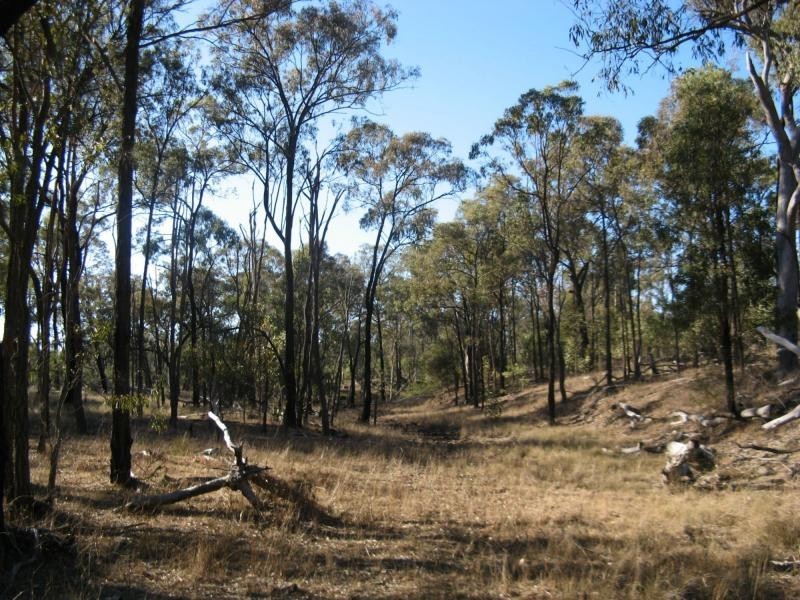 Warwick QLD 4370