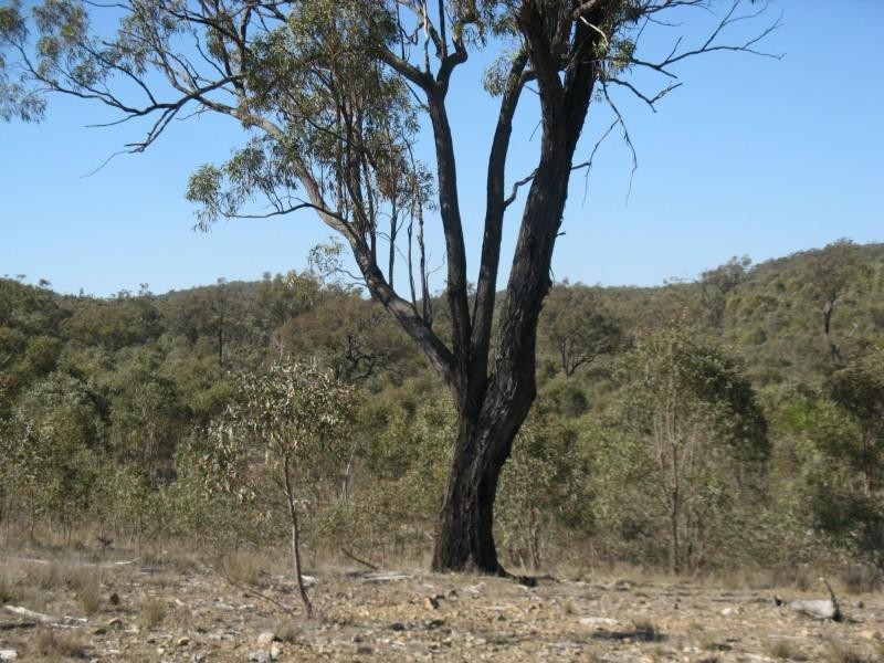Warwick QLD 4370
