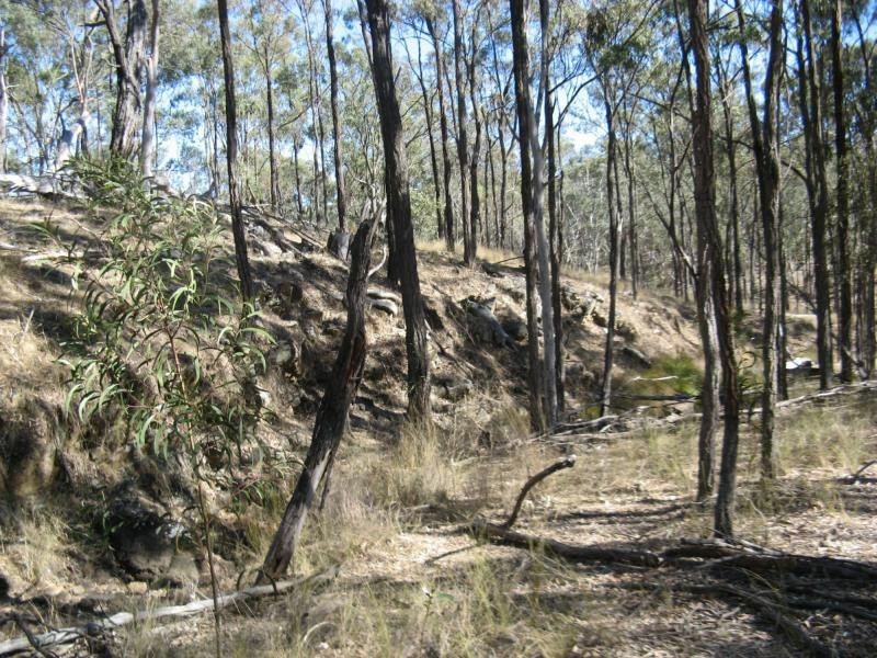 Warwick QLD 4370