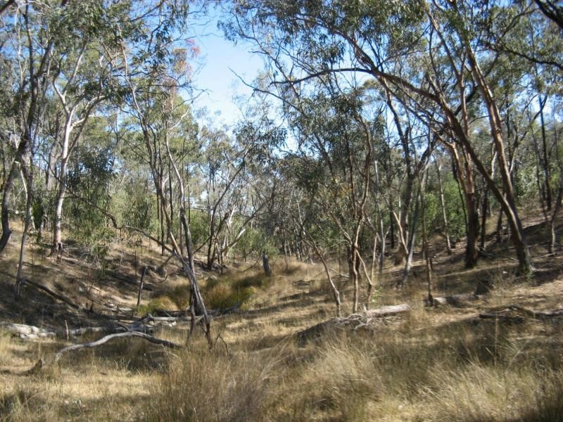 Warwick QLD 4370