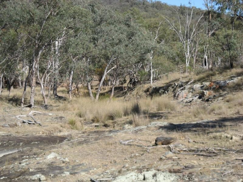 Warwick QLD 4370