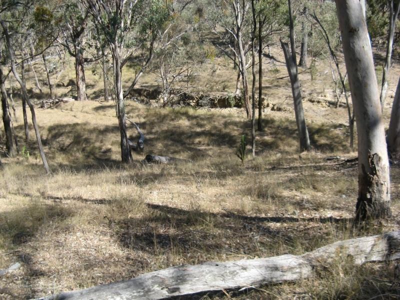 Warwick QLD 4370
