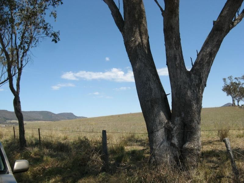 Warwick QLD 4370