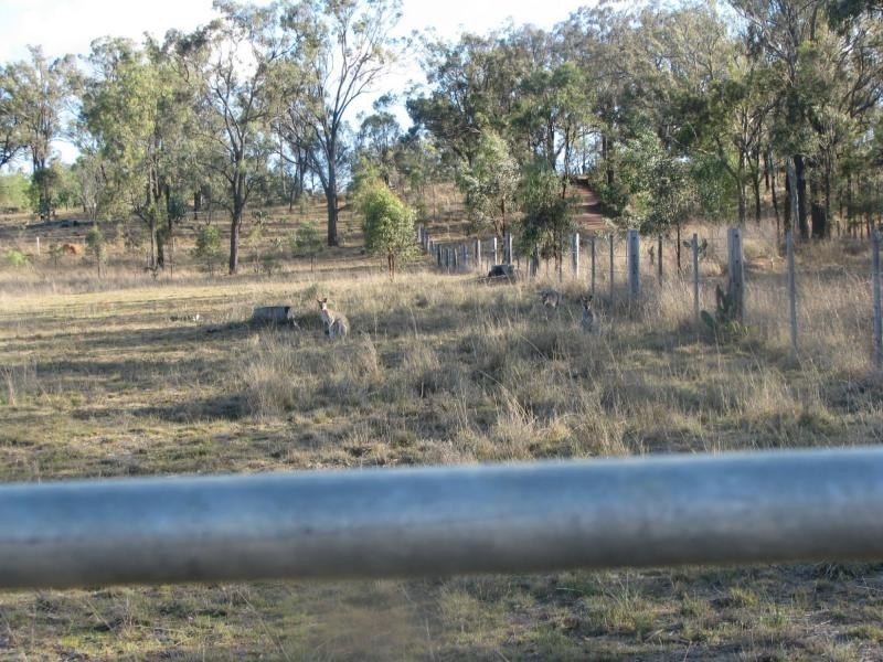 Warwick QLD 4370