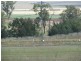 4 & 5 Forest Plain Road, Allora QLD 4362