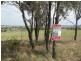 4 & 5 Forest Plain Road, Allora QLD 4362
