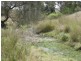 Stanthorpe QLD 4380