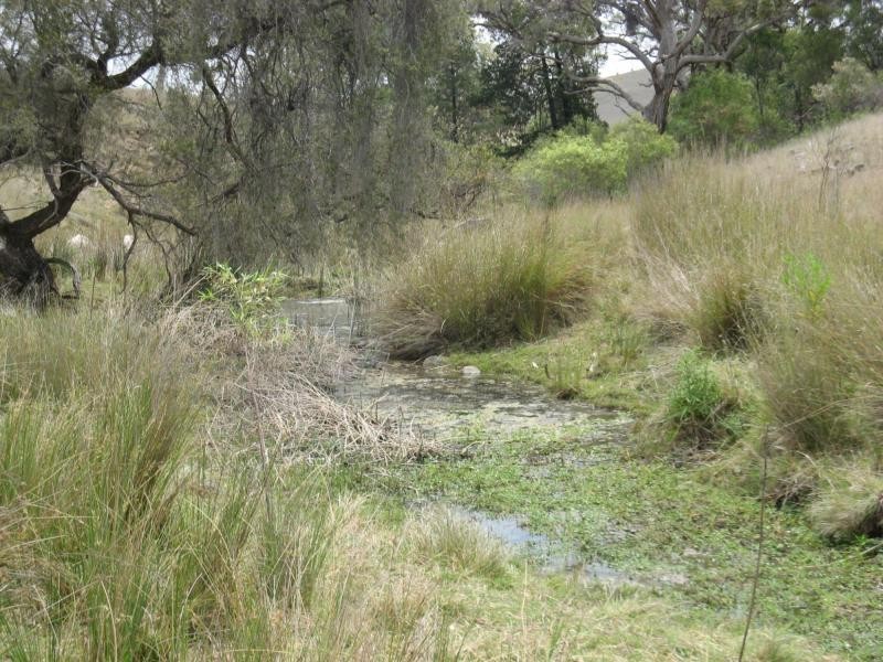 Stanthorpe QLD 4380