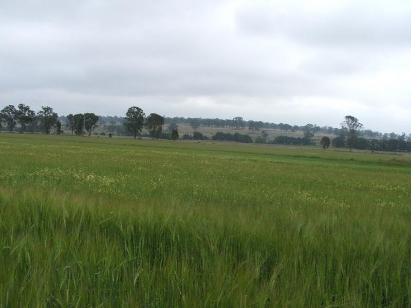 Warwick QLD 4370