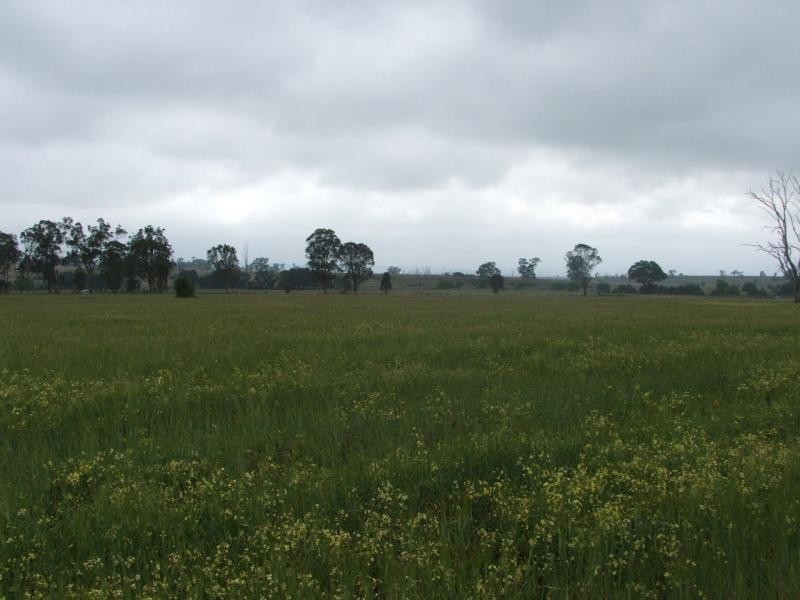 Warwick QLD 4370