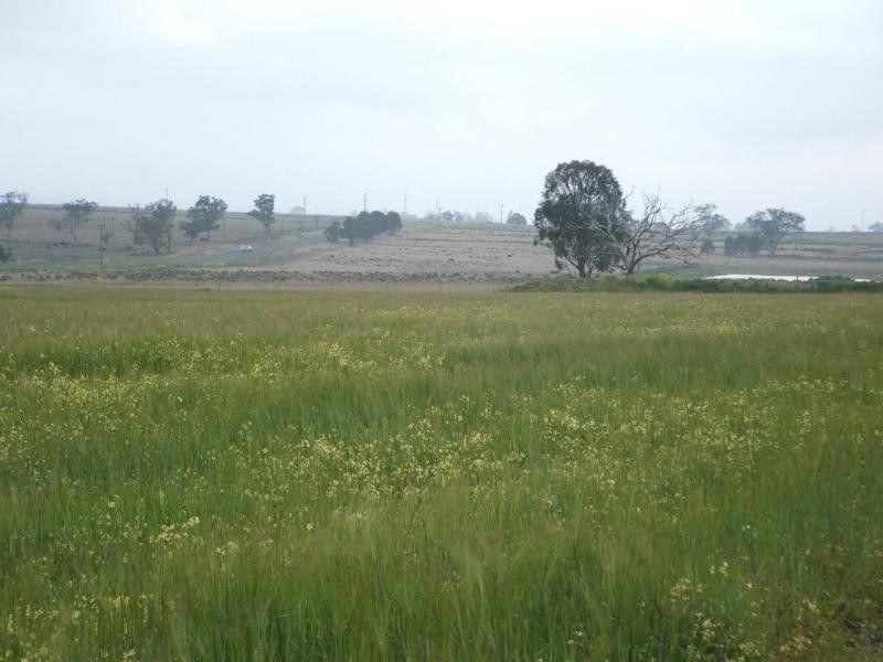 Warwick QLD 4370