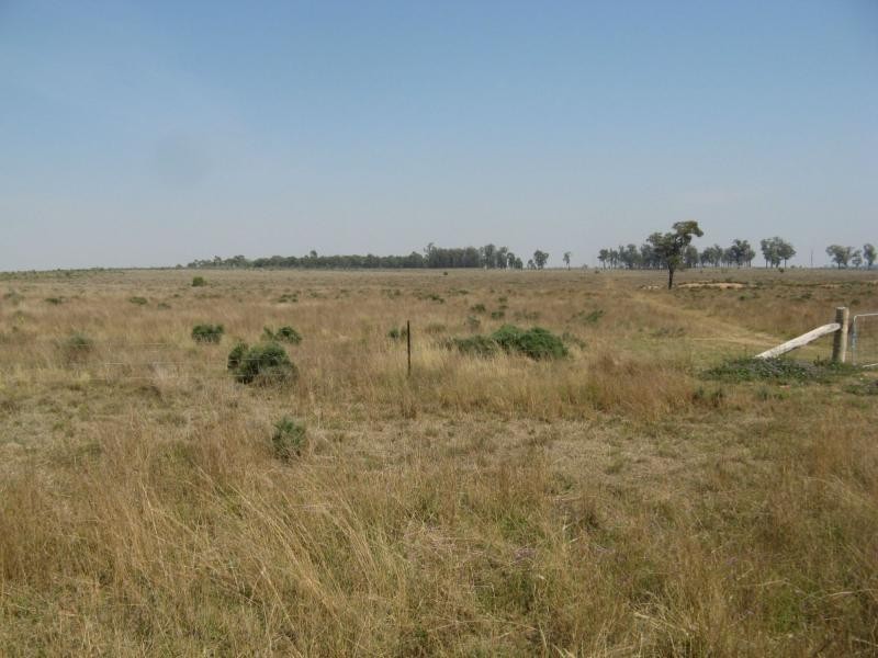 Texas NSW 4385