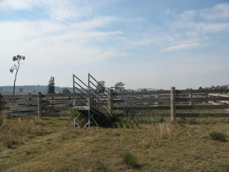 Texas NSW 4385