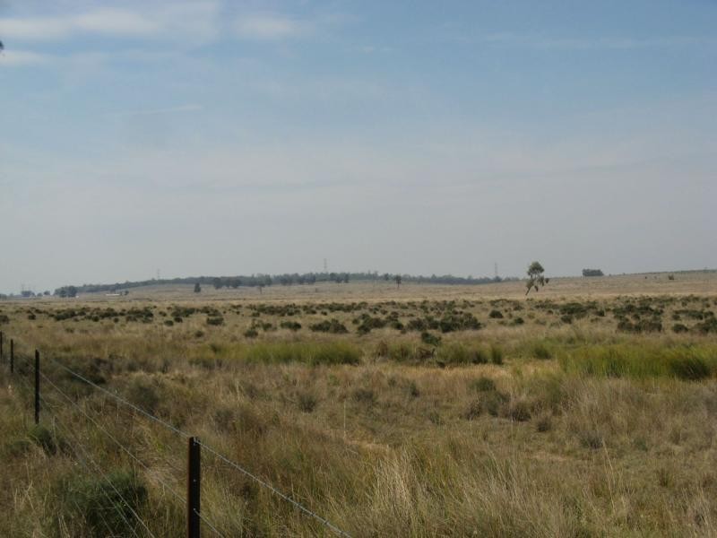 Texas NSW 4385
