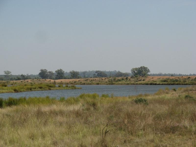 Texas NSW 4385