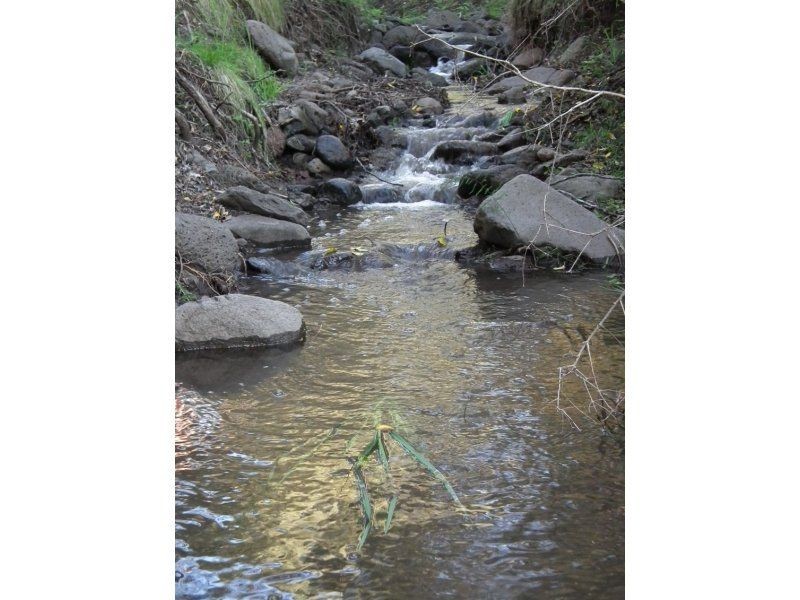 Warwick QLD 4370