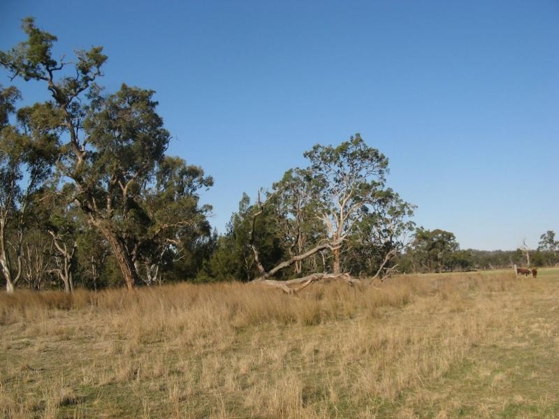 Warwick QLD 4370