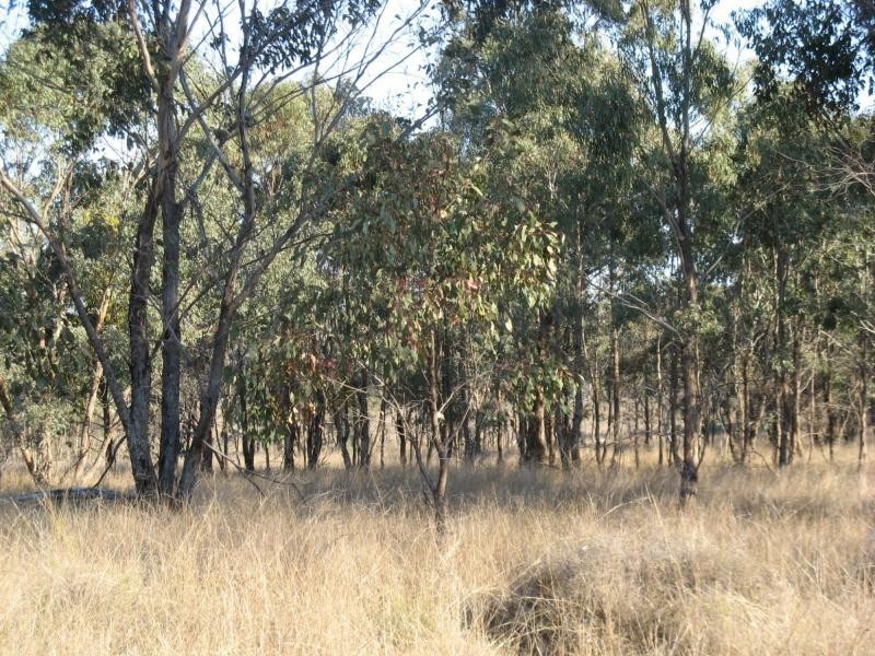 Warwick QLD 4370