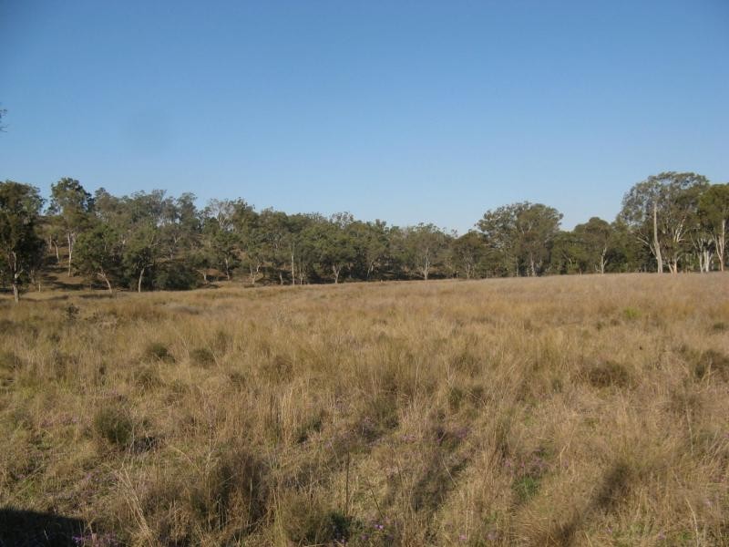 Warwick QLD 4370