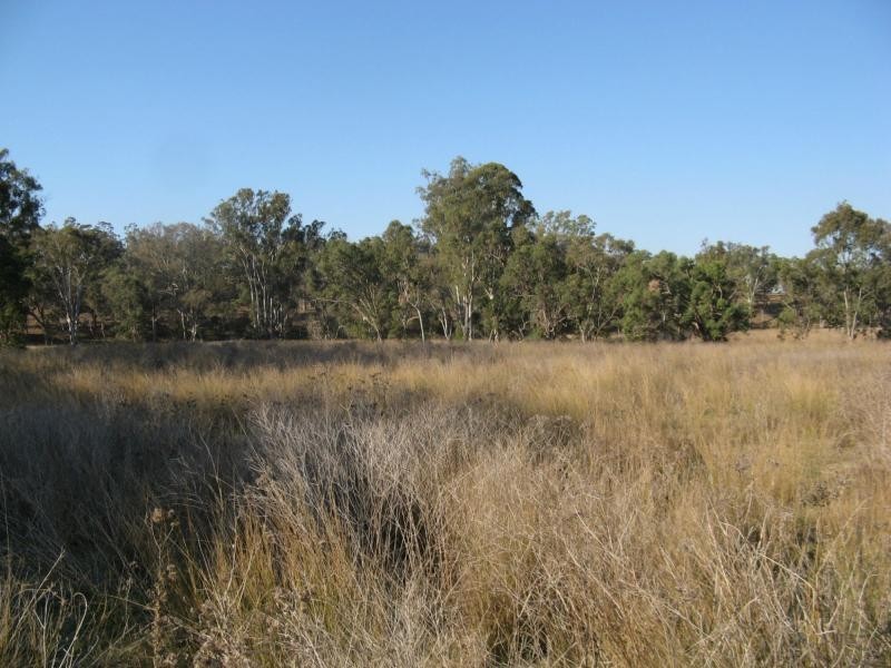 Warwick QLD 4370