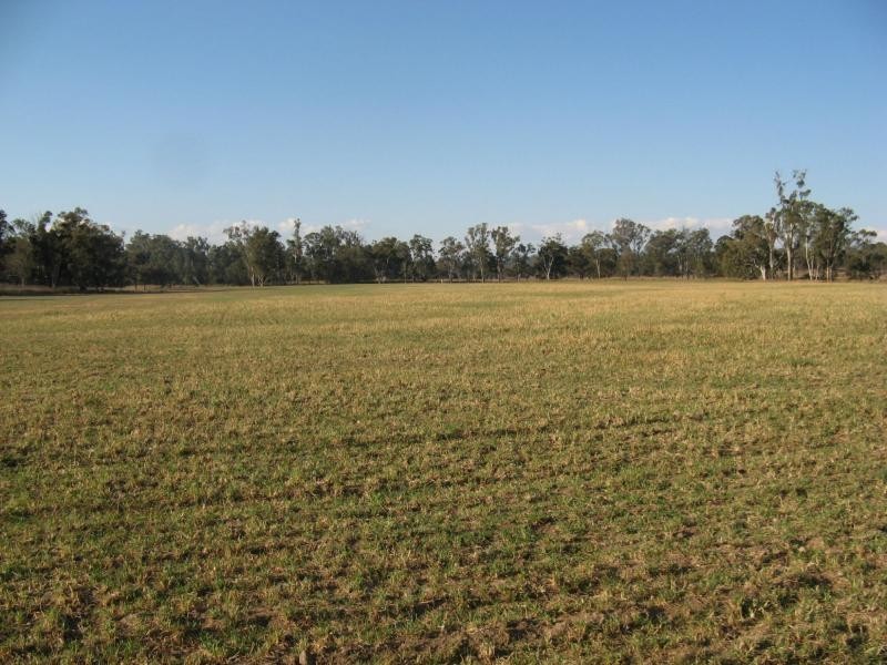 Warwick QLD 4370