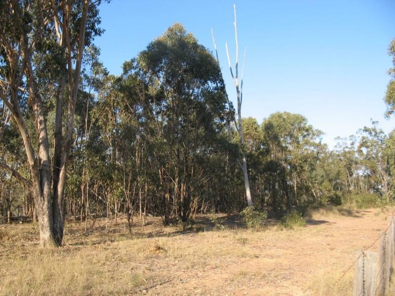 Warwick QLD 4370