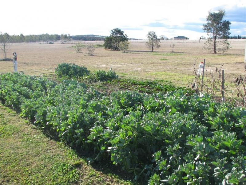 Warwick QLD 4370