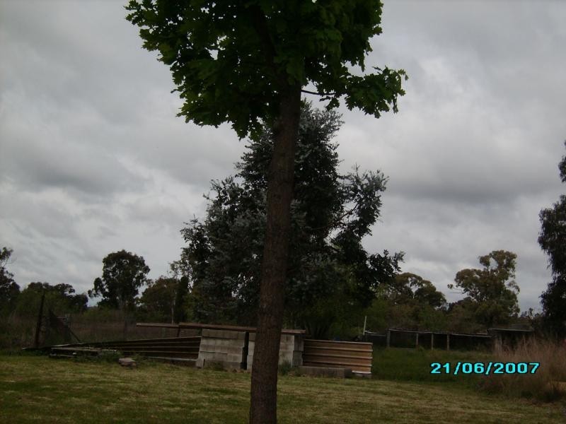 Warwick QLD 4370