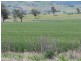 Killarney QLD 4373