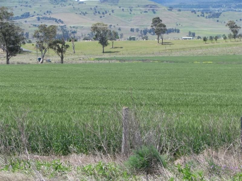 Killarney QLD 4373