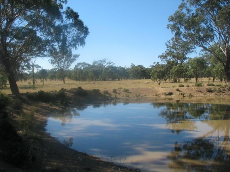 Greymare QLD 4370