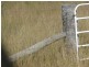 Greymare QLD 4370