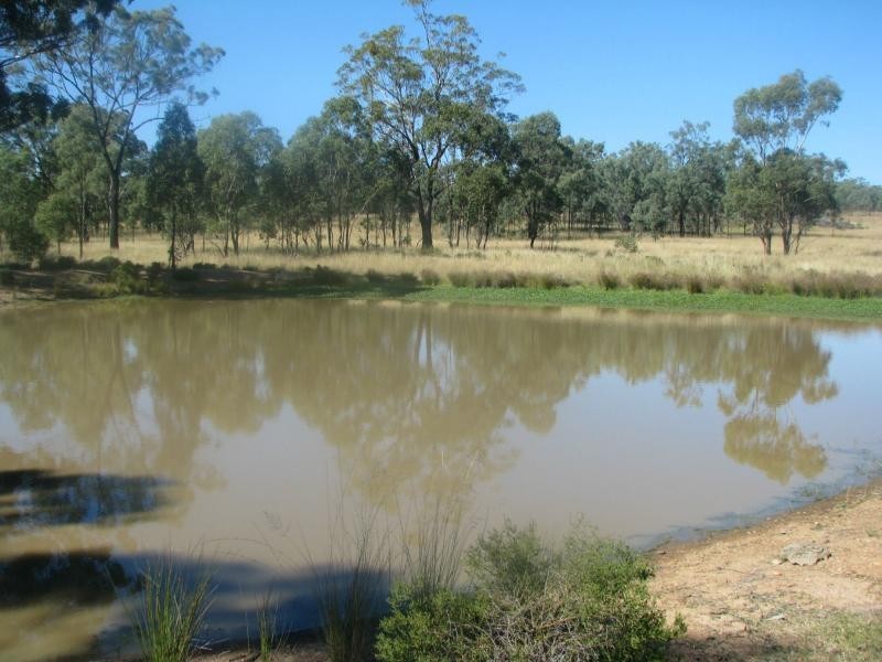 Greymare QLD 4370