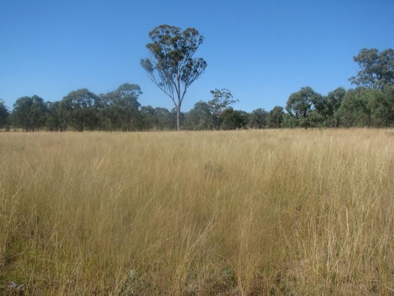 Greymare QLD 4370