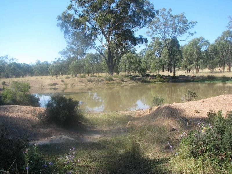 Greymare QLD 4370