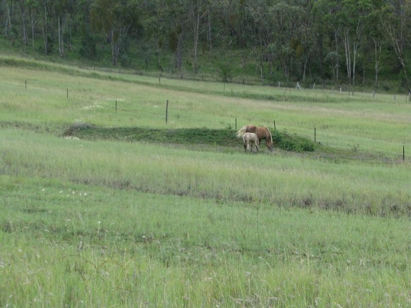 Warwick QLD 4370