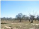Leyburn QLD 4365