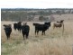 Elbow Valley QLD 4370