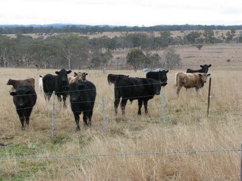 Elbow Valley QLD 4370