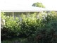 Pittsworth QLD 4356