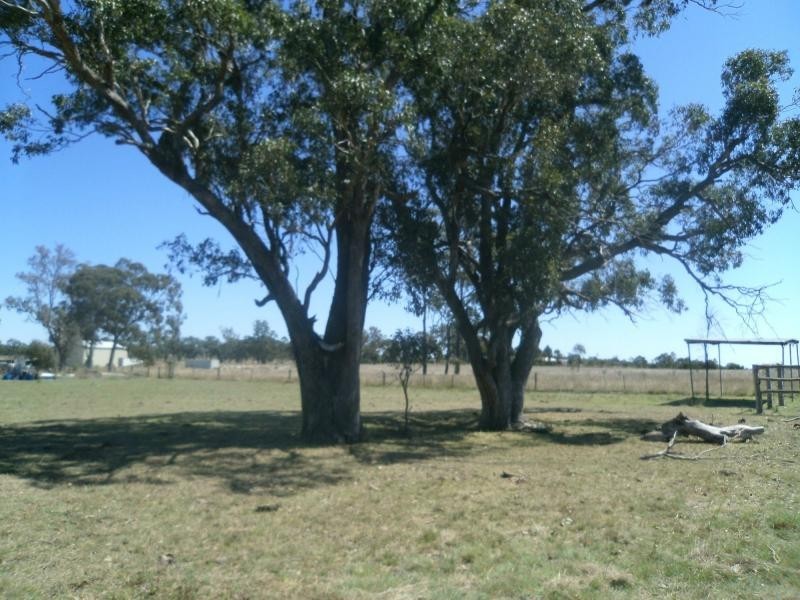 Warwick QLD 4370