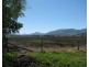 258 Swanfel Road, Swanfels QLD 4371